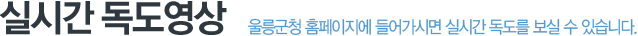 실시간 독도영상 울릉군청 홈페이지에 들어가시면 실시간 독도를 보실 수 있습니다.